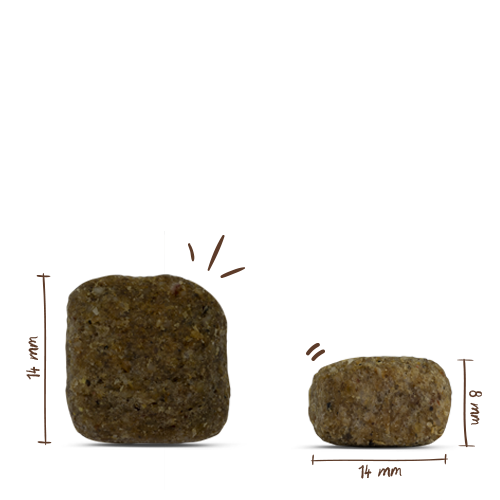 Bosch - Medium Junior - 1 x 1kg - 3