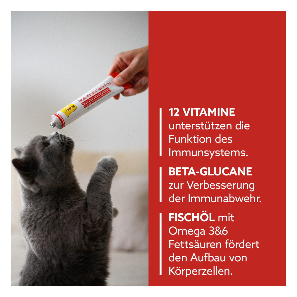 GimCat - Multi-Vitamin-extra - 1 x 50g - 2