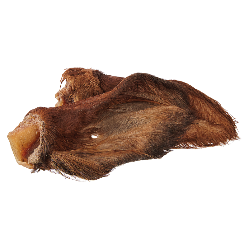 Primox Kauer Rinderohren mit Fell 120 g ballaststoffreich mit knackigem Knorpel