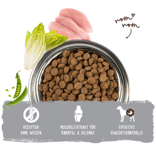 Bosch - Light - 1 x 2,5kg - 6