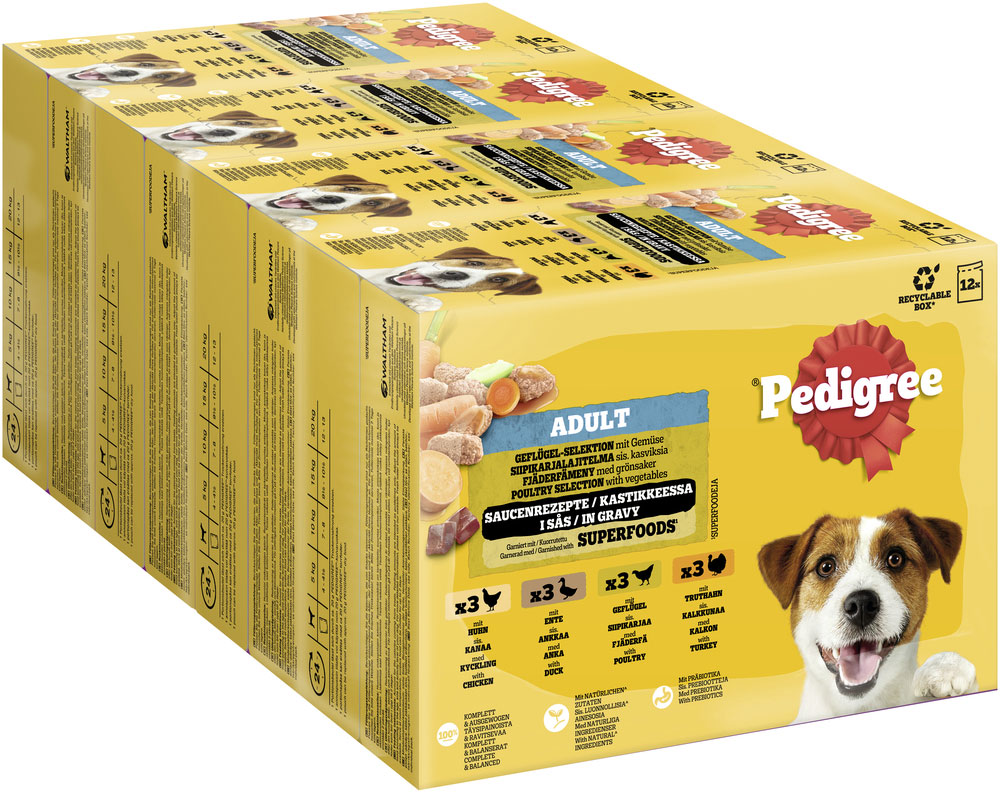 Pedigree - Multipack 4x Geflügel in Sauce - 1 x 12X100g - 2