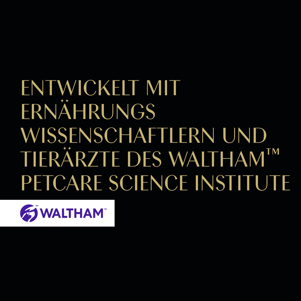 Sheba - Filets mit natürlichem Huhn - 16 x 60g - 9