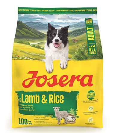 A/S Adult Lamb & Rice