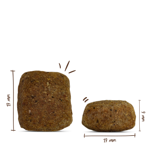 Bosch - Maxi Senior Geflügel & Reis - 1 x 2,5kg - 2