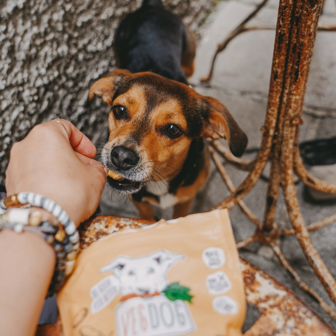 Vegdog - Jerkeys mit Karotte & Buchenrauch - 1 x 80g - 6