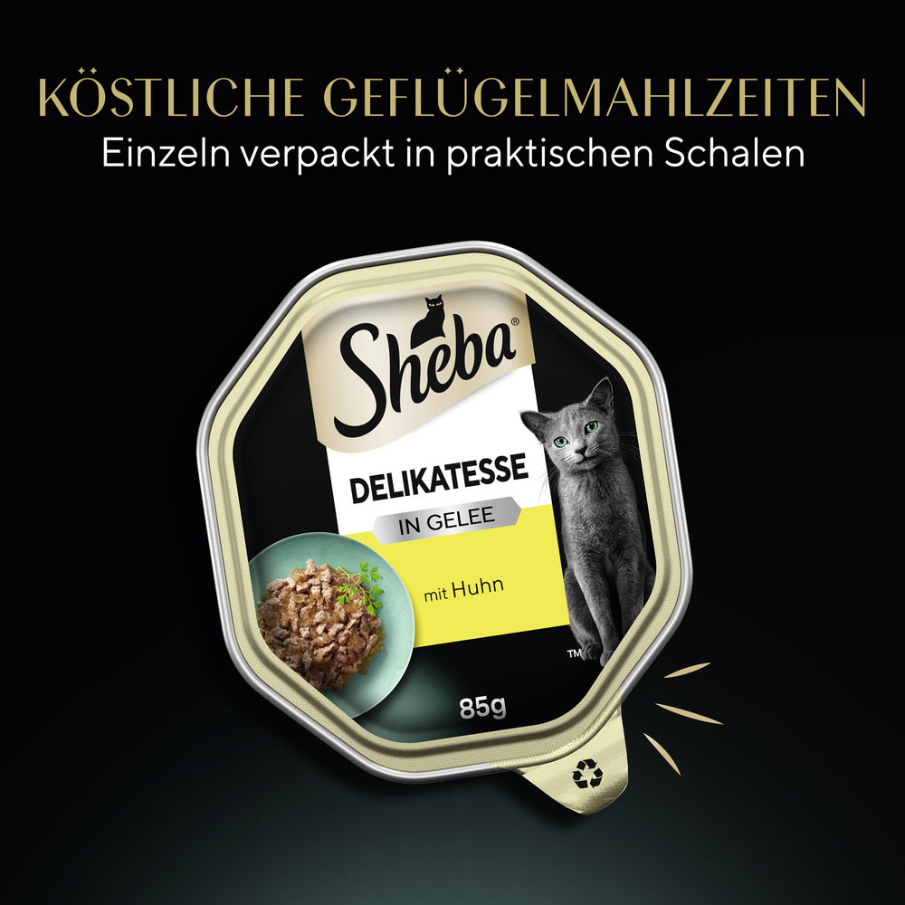 Sheba - Delikatesse Gelee Huhn-Geschnetzeltes - 22 x 85g - 9