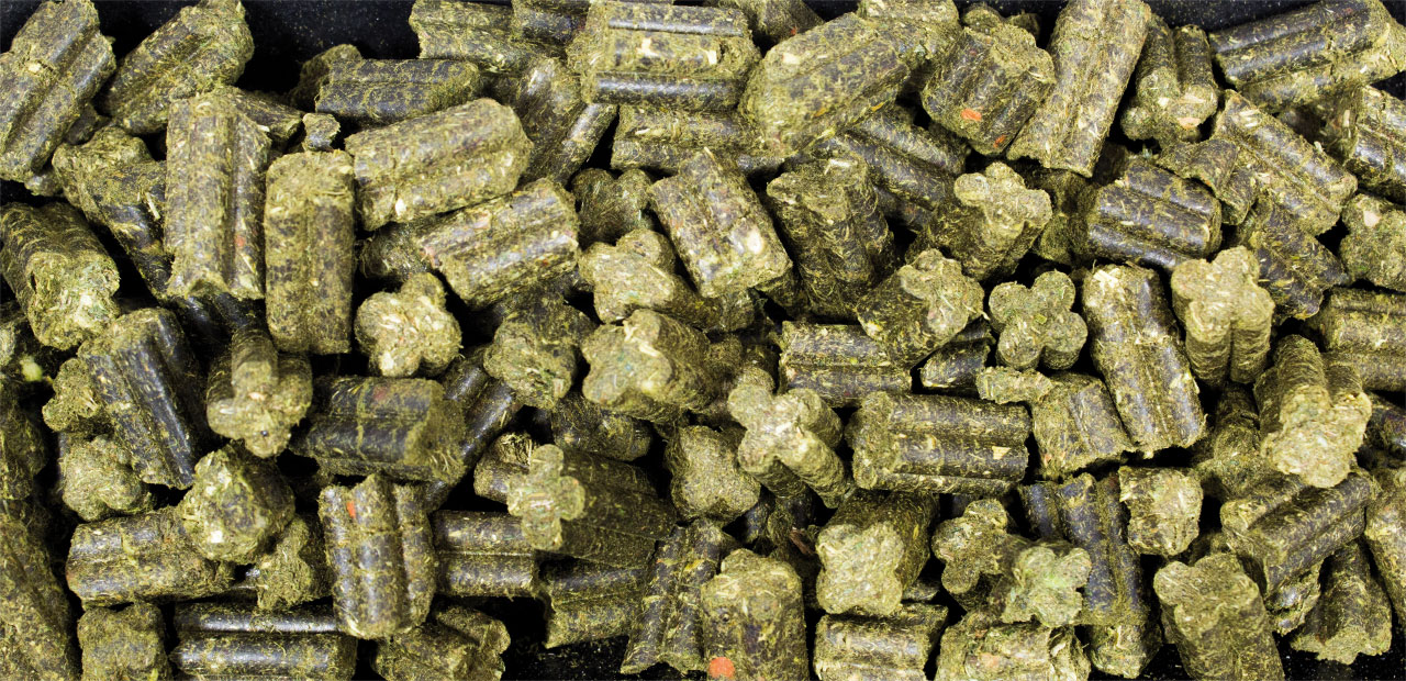 JR Farm - Grainless Complete Zwergkaninchen - 1 x 1350g - 3