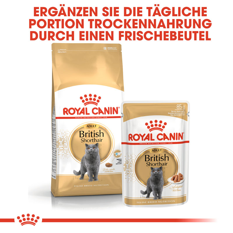 Royal Canin - FBN British Shorthair Adult Gravy - 1 x 12X85g - 5