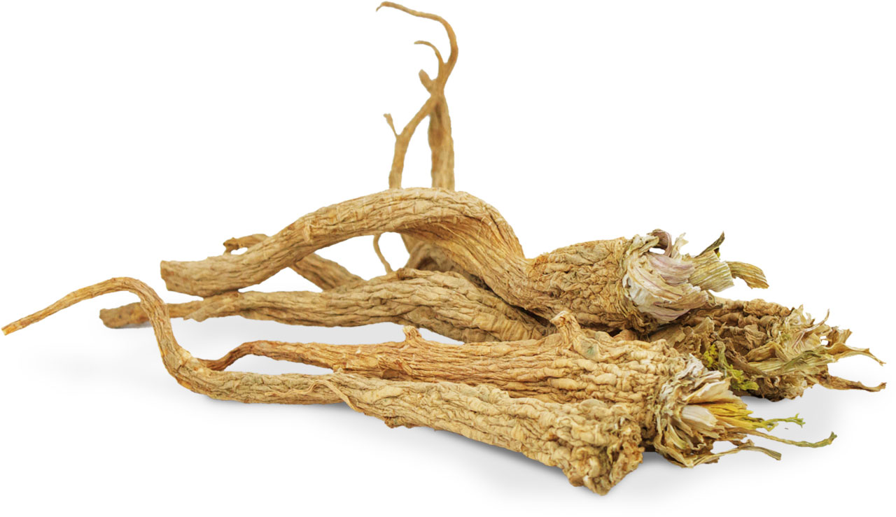 JR Farm - Petersilien-Wurzeln - 1 x 50g - 2