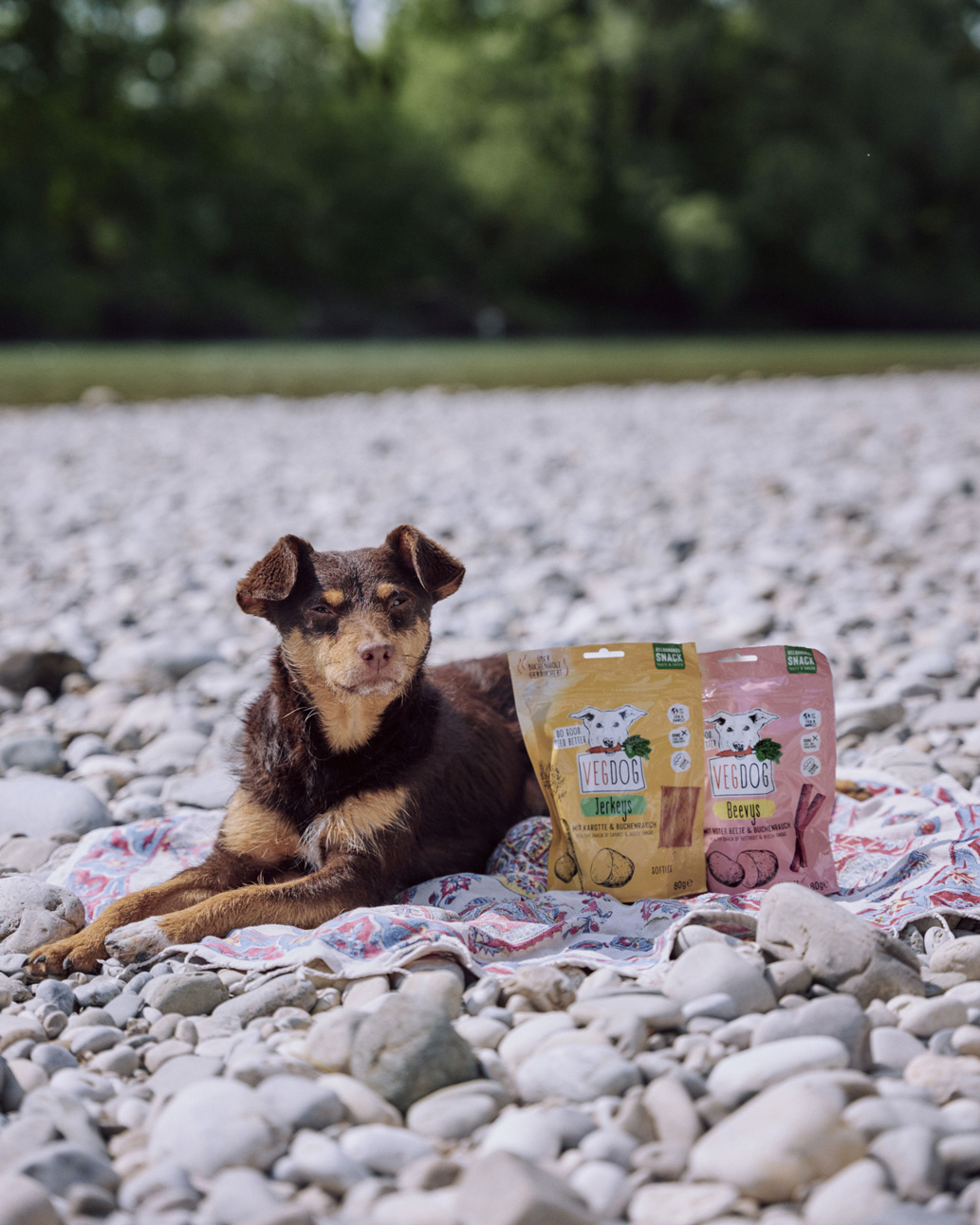 Vegdog - Jerkeys mit Karotte & Buchenrauch - 1 x 80g - 4