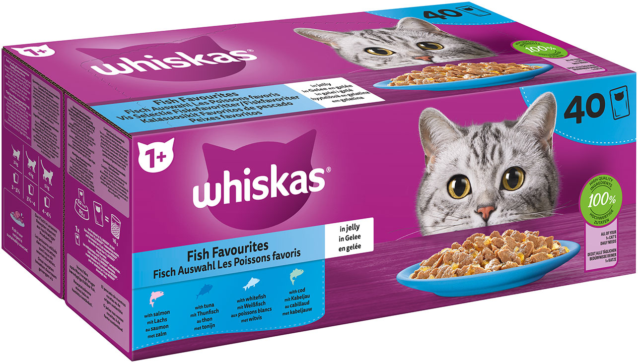 Fisch Auswahl 4 Varietäten Lachs, Thunfisch, Kabeljau, Weißfisch in Gelee