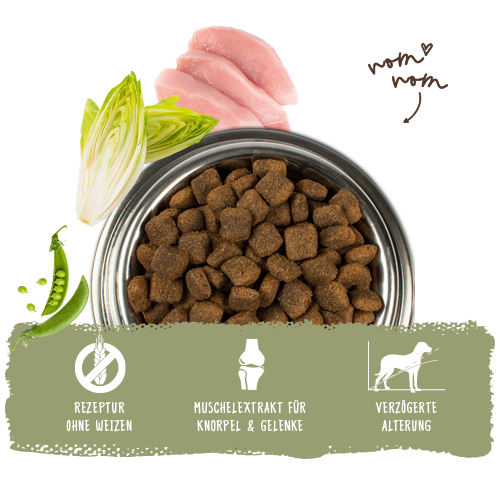 Bosch - Maxi Senior Geflügel & Reis - 1 x 2,5kg - 6