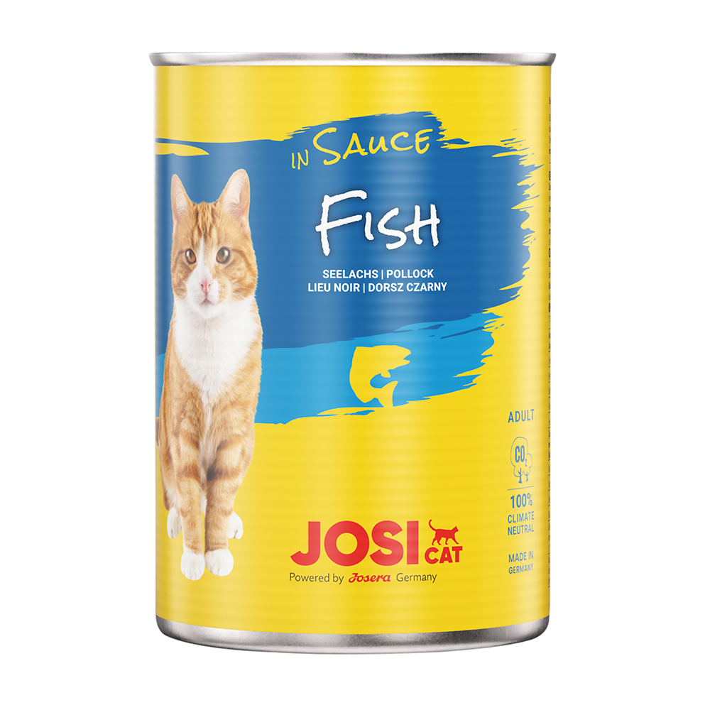 JosiCat Fish in Sauce