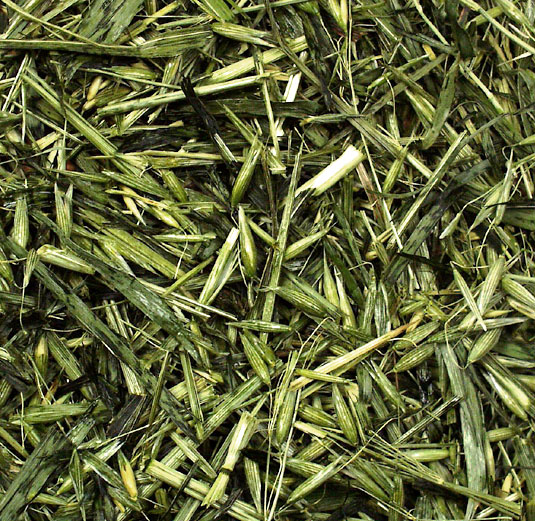 JR Farm - Grüner Hafer - 6 x 100g - 3