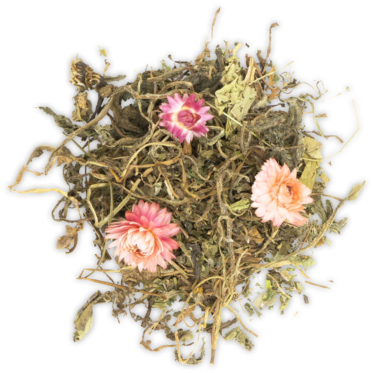 JR Farm - Grainless Plus Salbei&Löwenzahn - 6 x 100g - 2