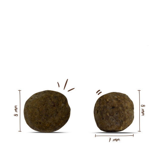 Bosch - Mini Junior - 1 x 1kg - 3