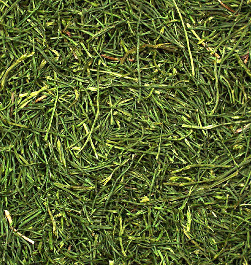 JR Farm - Petersilienstiele - 6 x 150g - 2