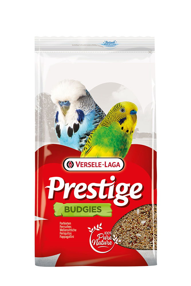 Prestige Wellensittiche