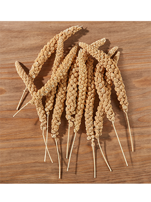 elles - Gelbe Hirse 25 kg - 1 x 25kg - 2