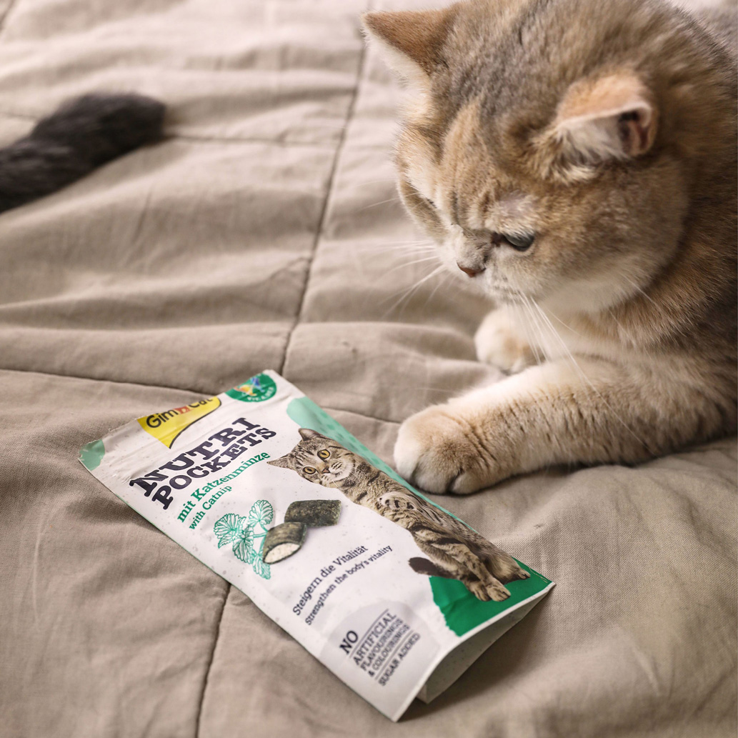 GimCat - Nutri Pocket mit Katzenminze - 1 x 60g - 6