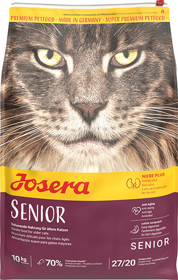Katze Senior
