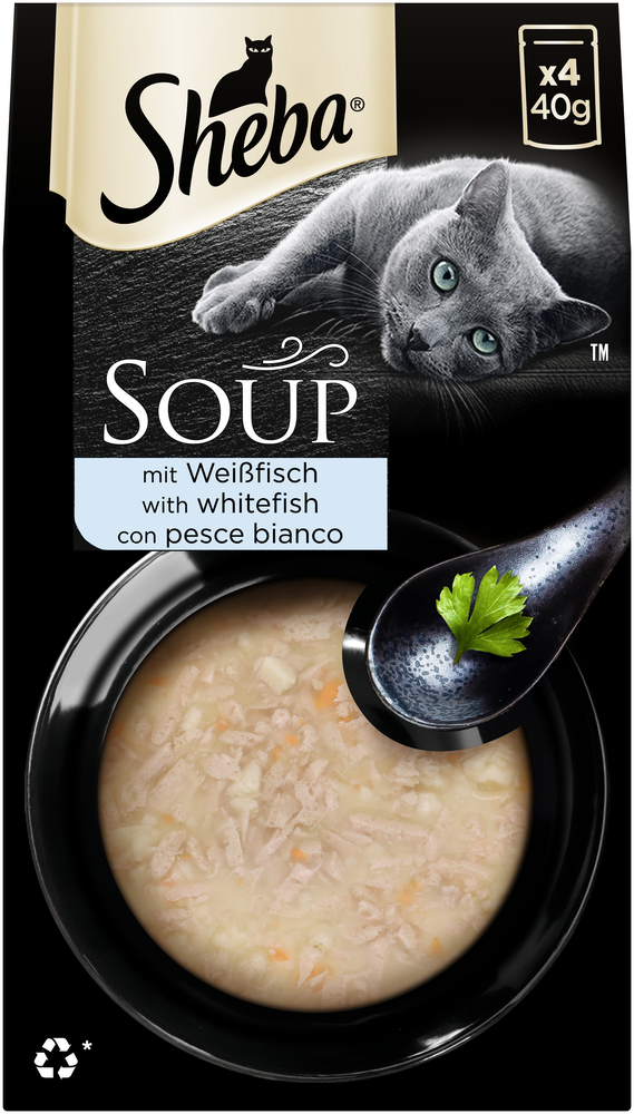 Multipack Soup mit Weißfisch