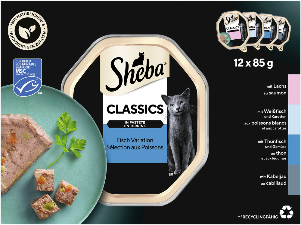 Multipack Classics in Pastete Fisch Variation MSC
