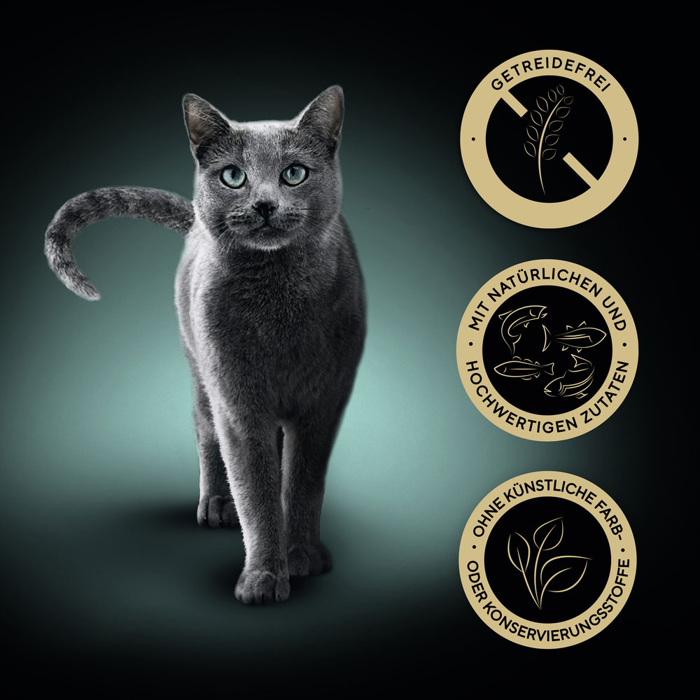 Sheba - Multipack Classics in Pastete Fisch Variation MSC - 1 x 32X85g - 10