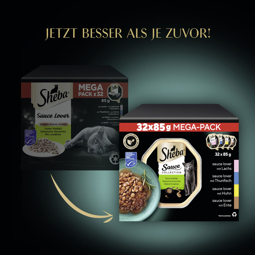 Sheba - Multipack Collection Sauce Lover Feine Vielfalt MSC - 1 x 32X85g - 4