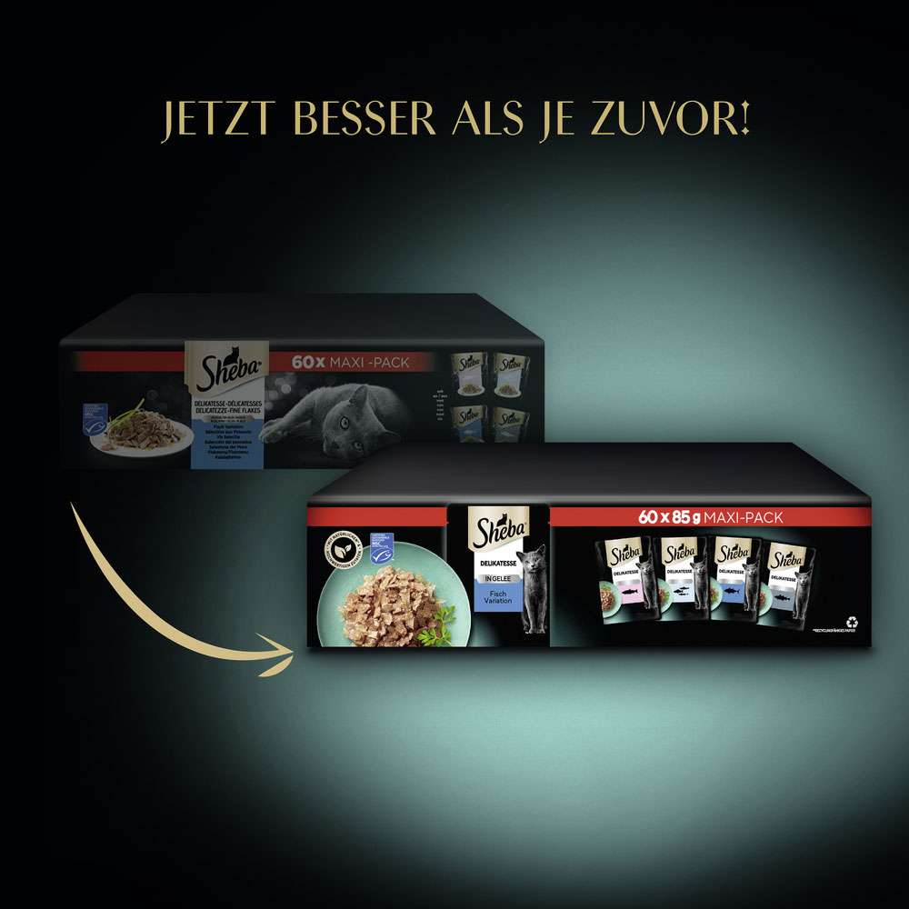 Sheba - Multipack Fisch in Gelee - 1 x 60X85g - 5