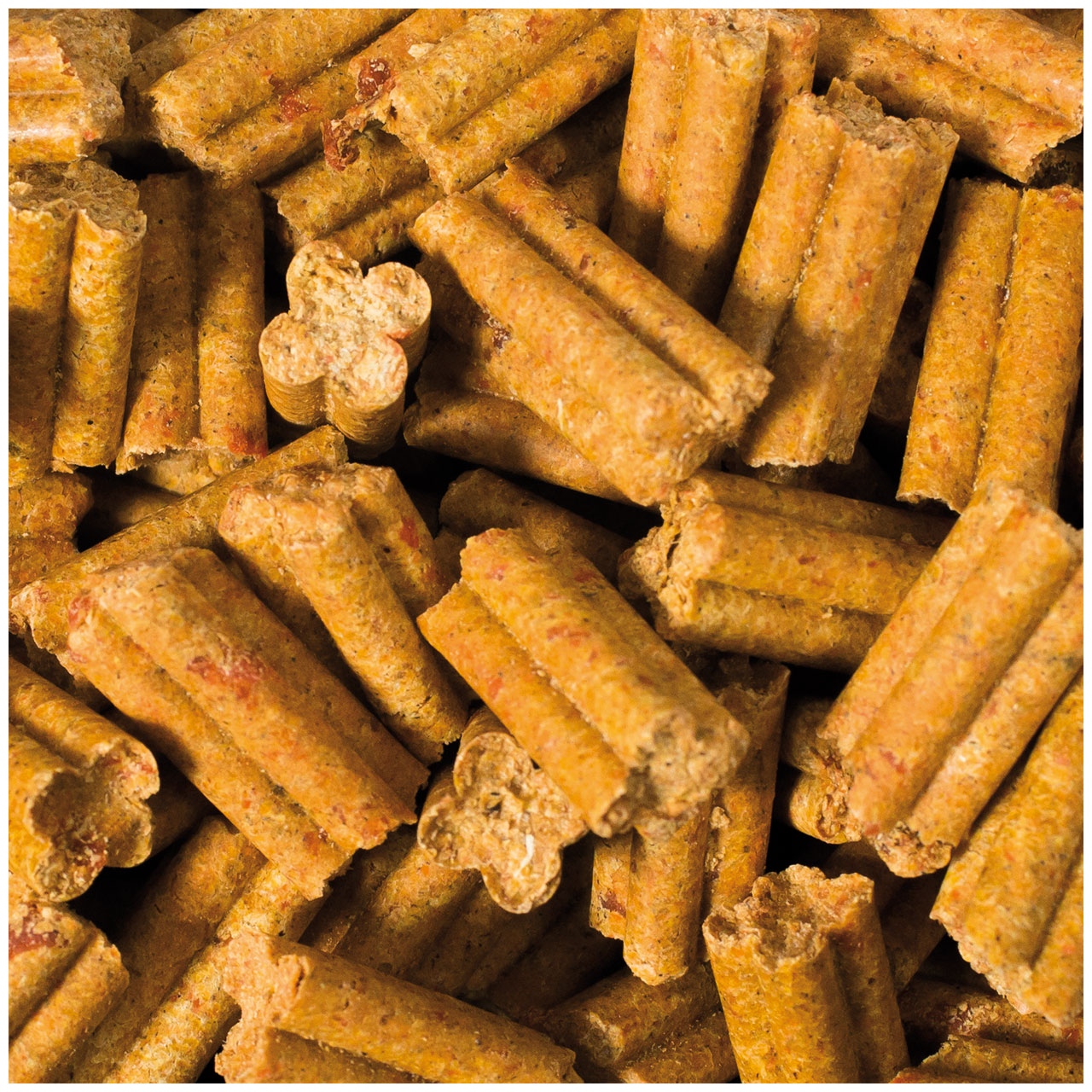 JR Farm - Quad-Bits Karotte - 1 x 300g - 2