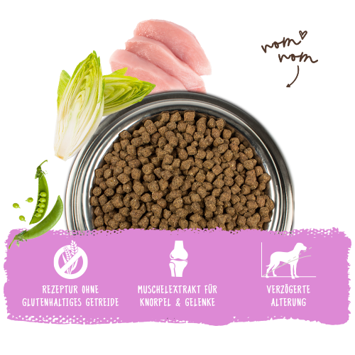 Bosch - Mini Senior - 1 x 2,5kg - 5