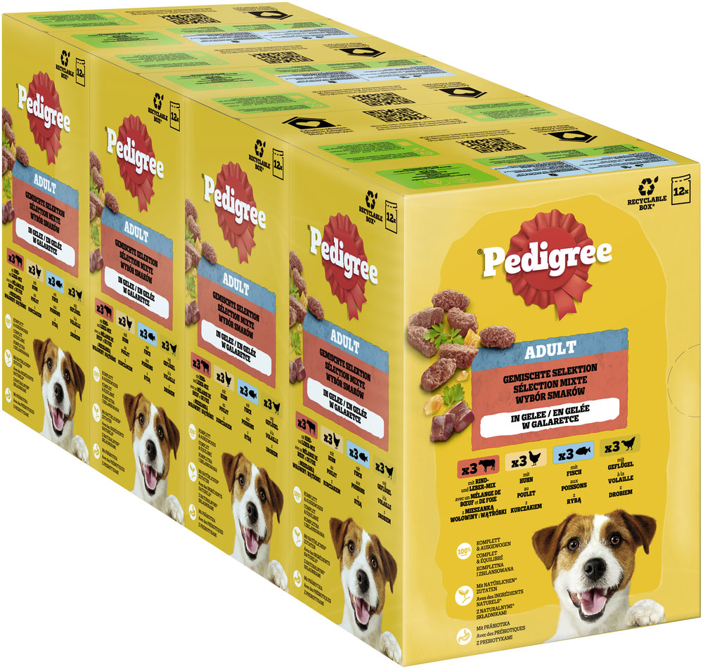 Pedigree - Multipack gemischte Selektion in Gelee - 1 x 12X100g - 3
