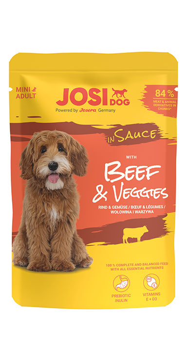 Beef & Veggies in Sauce