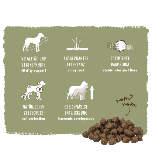 Bosch - Mini Adult Geflügel 6 Hirse - 1 x 3kg - 4