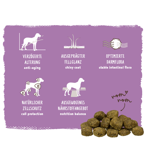 Bosch - Senior - 1 x 2,5kg - 5