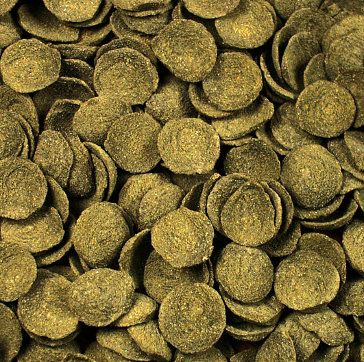 JR Farm - Kleesamen-Taler - 1 x 200g - 3