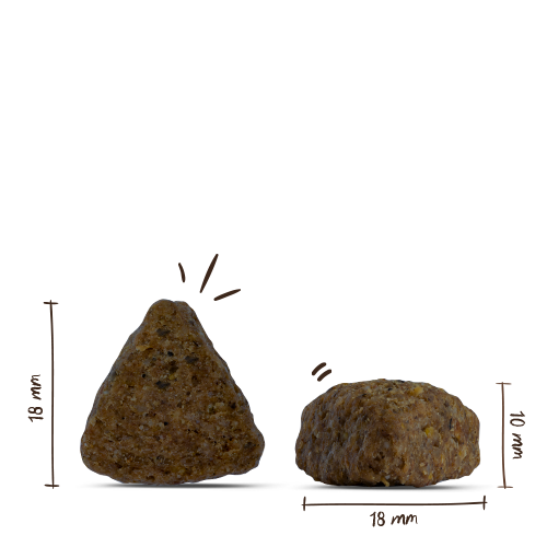 Bosch - Adult Lachs & Kartoffel - 1 x 15kg - 2