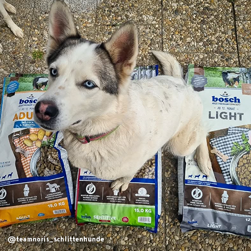 Bosch - Light - 1 x 2,5kg - 8