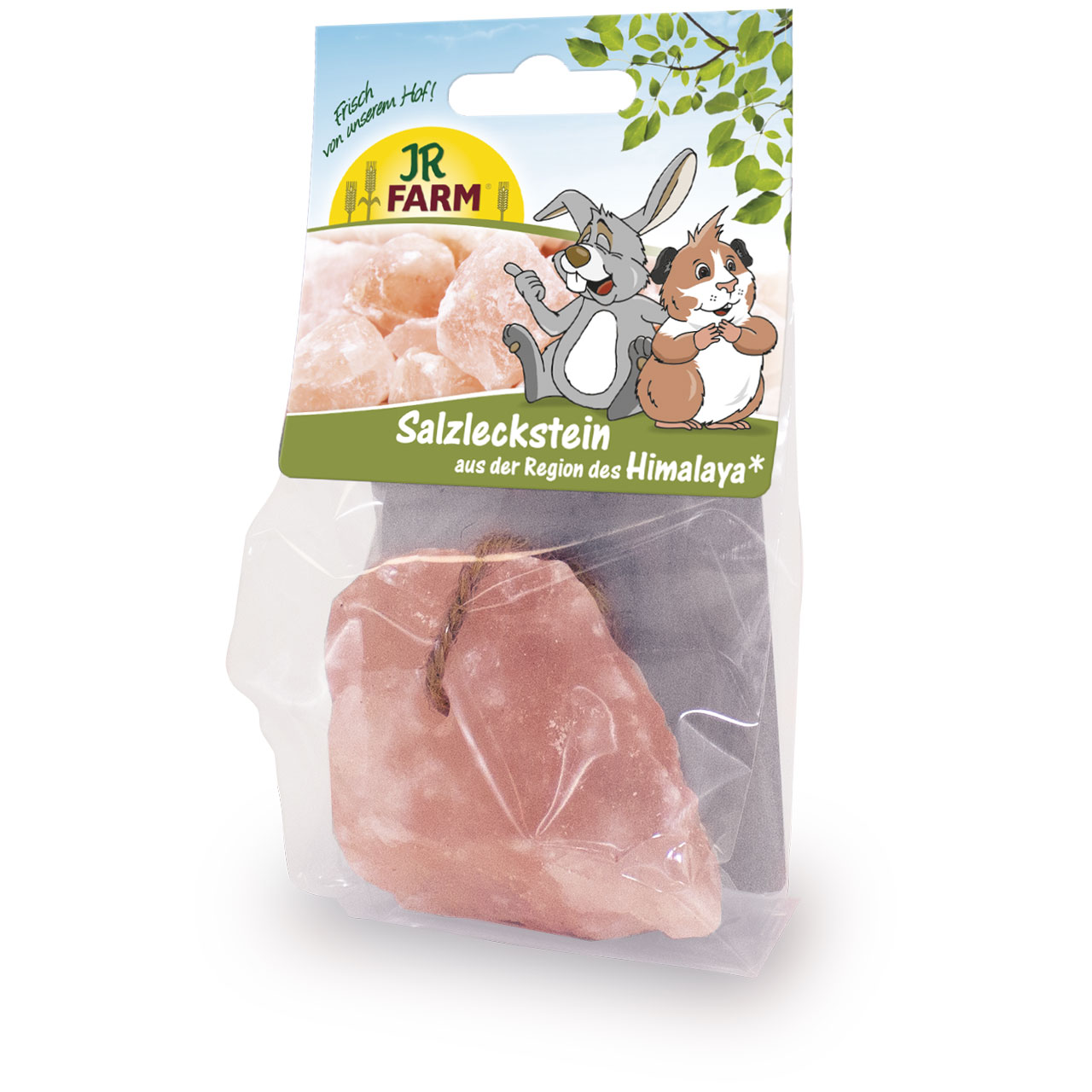 Salzleckstein Region Himalaya