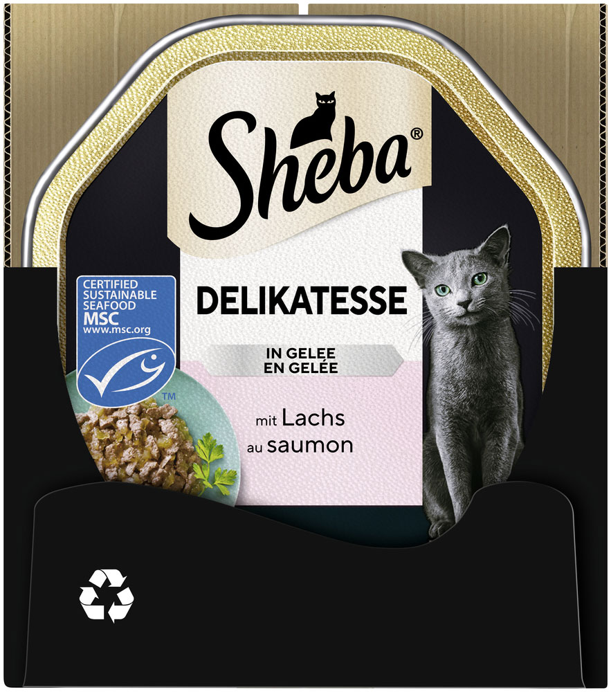 Sheba - Delikatesse Gelee Lachs-Geschnetzeltes - 22 x 85g - 4