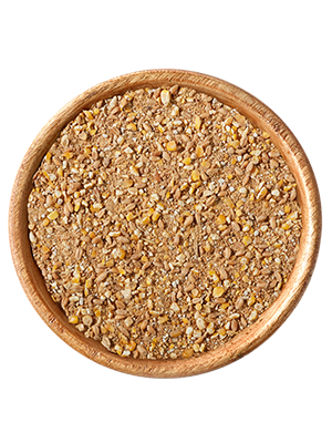 elles - Elles Legemehl Gold-Gelb 25kg - 1 x 25kg - 2