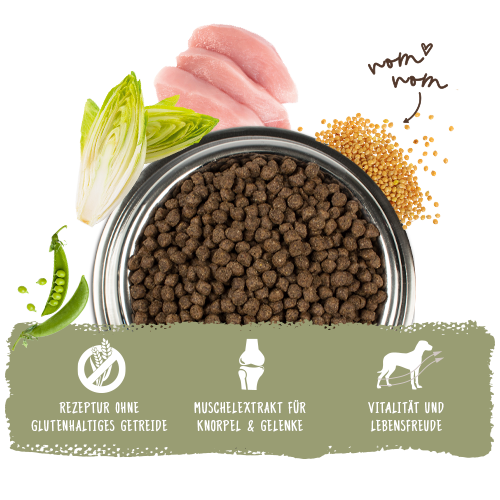 Bosch - Mini Adult Geflügel 6 Hirse - 1 x 3kg - 6