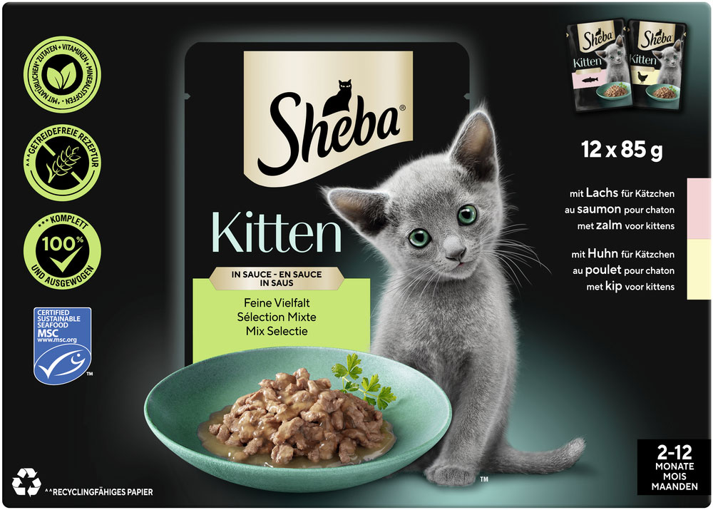 Multipack Kitten Feine Vielfalt in Sauce