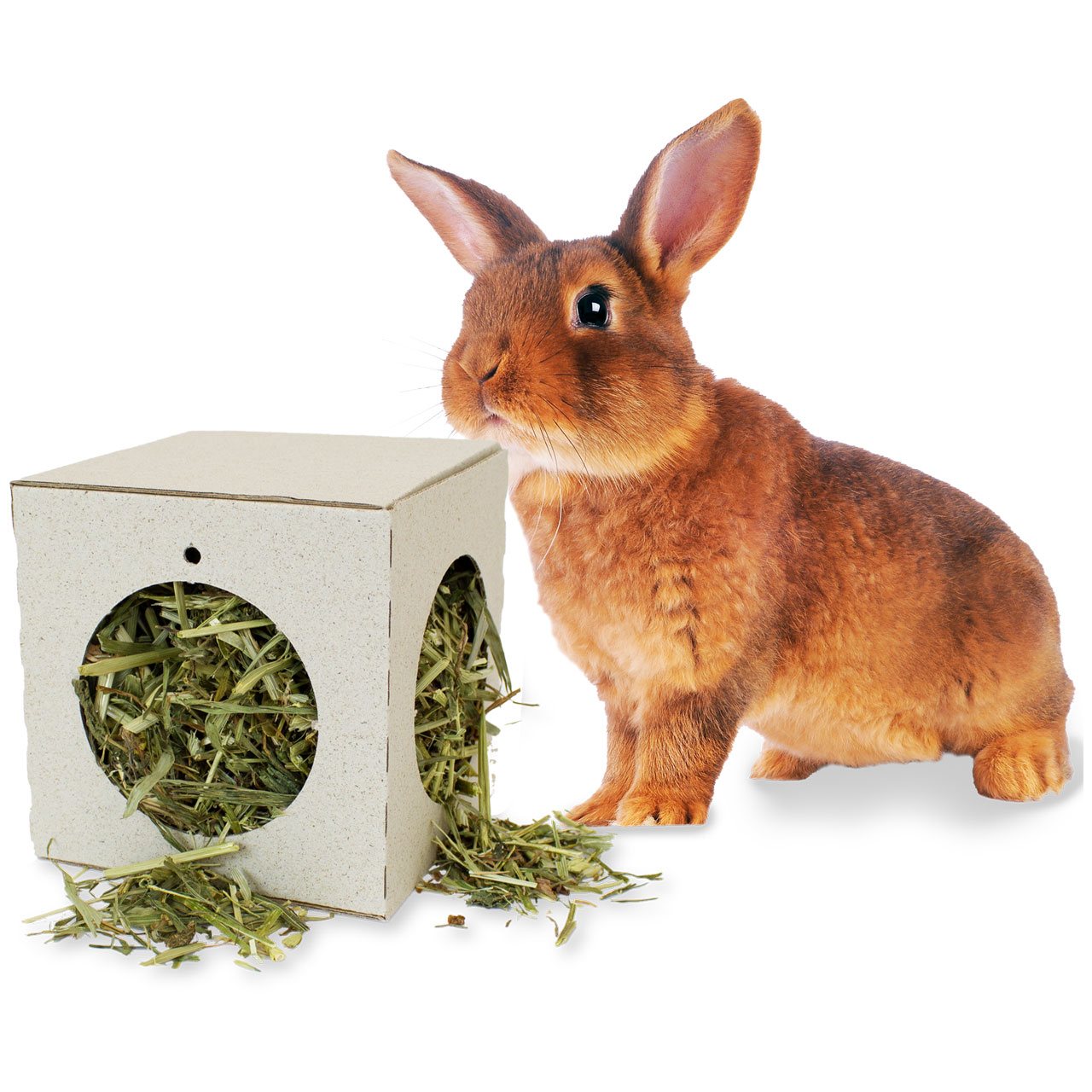 JR Farm - Kräuter Pendel - 1 x 130g - 3