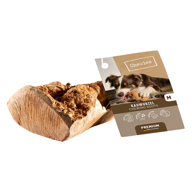 Kauwurzel M