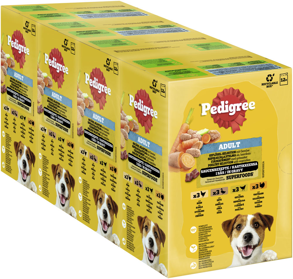 Pedigree - Multipack 4x Geflügel in Sauce - 1 x 12X100g - 3