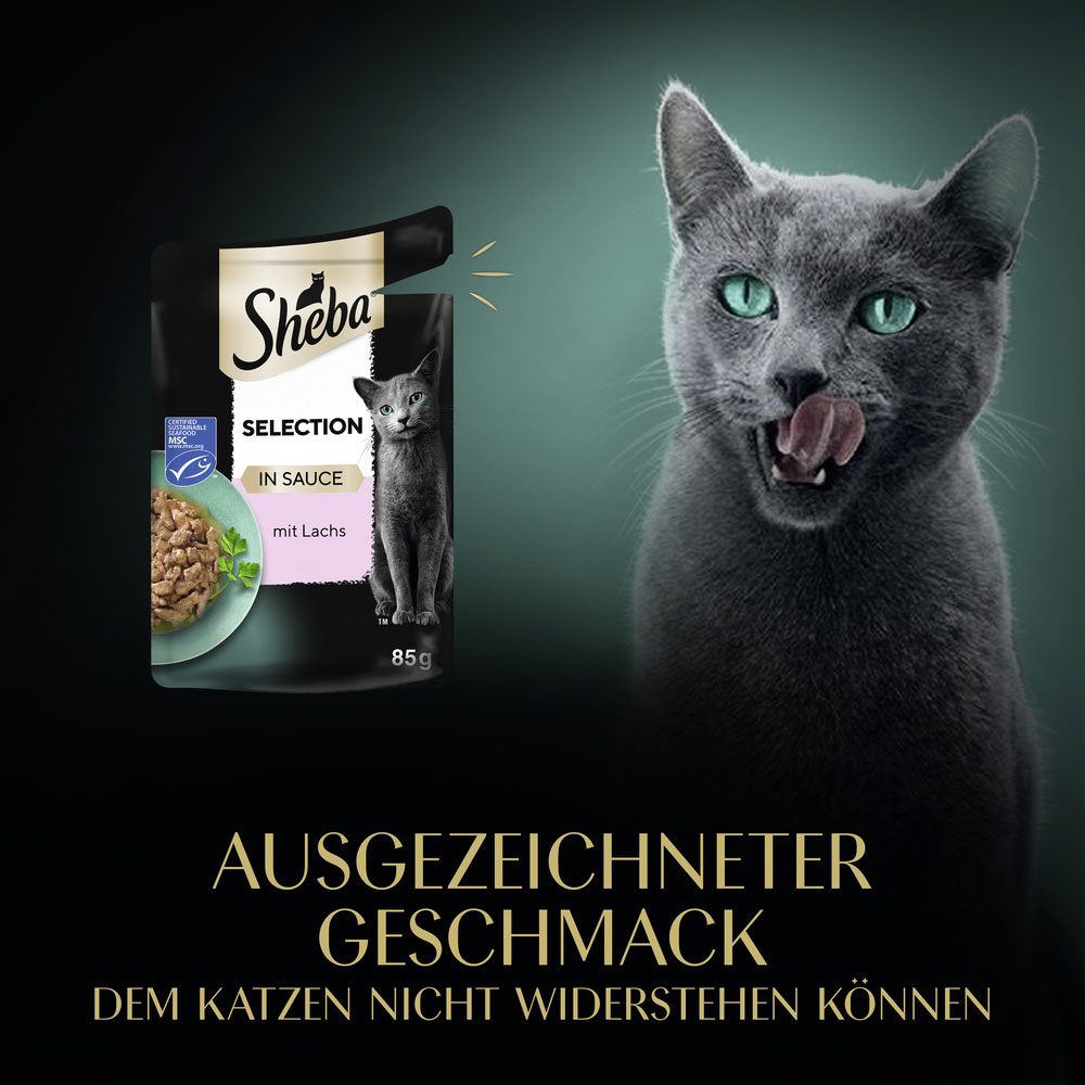 Sheba - Selection in Sauce mit Lachs - 28 x 85g - 10