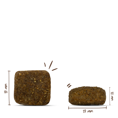 Bosch - Adult Maxi - 1 x 15kg - 2