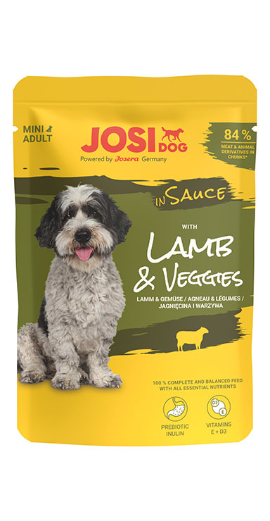 Lamb & Veggies in Sauce